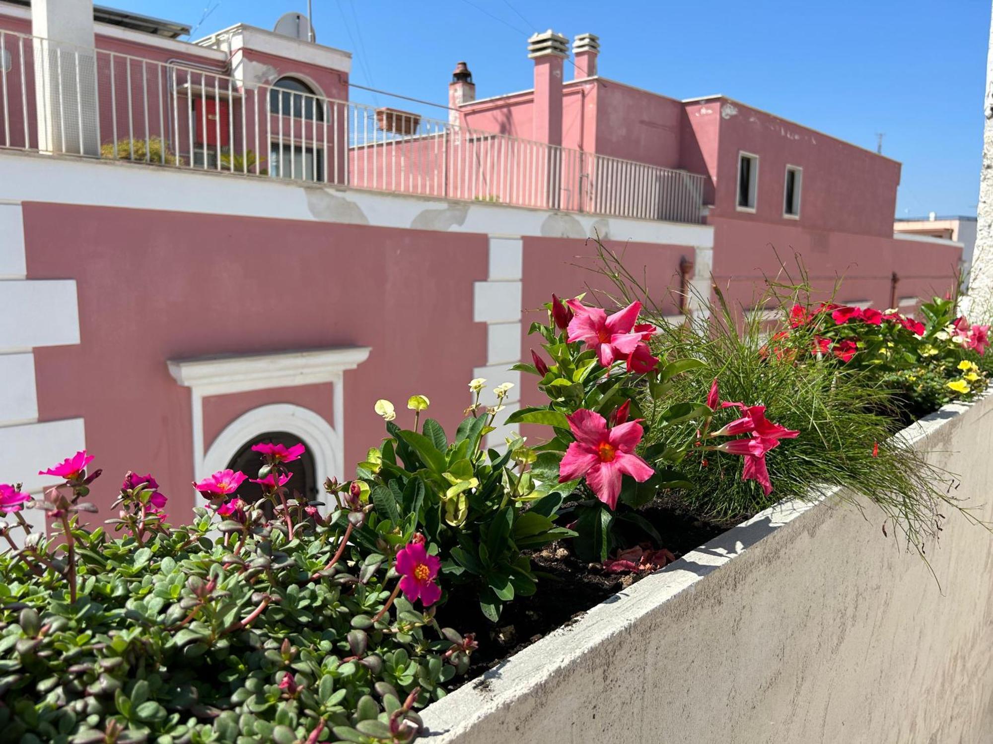 Trame Dimora Rachele Bed & Breakfast Polignano a Mare Ngoại thất bức ảnh